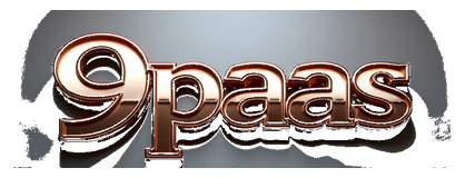 9paas logo